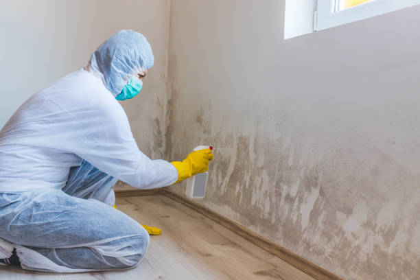 Licensed Crawl Space Mold Remediation service in Four Oaks, NC - Car Mold Remediation