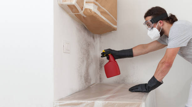 Professional Crawl Space Mold Remediation technician working in Four Oaks, NC