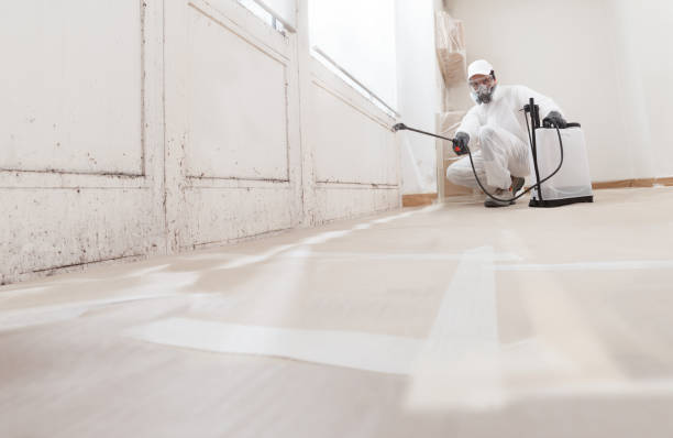 24/7 Emergency Crawl Space Mold Remediation experts in Four Oaks, NC