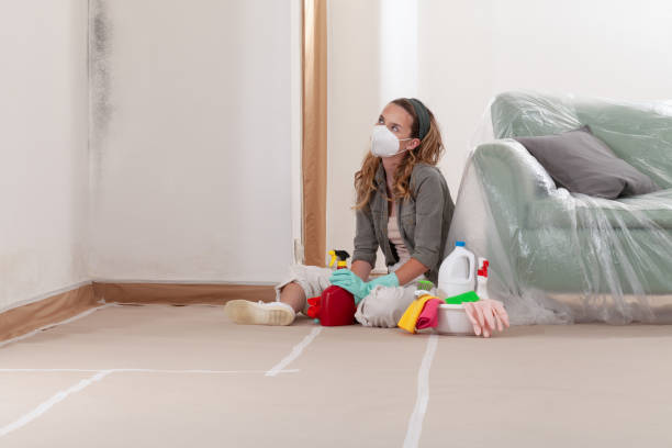 Reliable Crawl Space Mold Remediation contractor in Four Oaks, NC by Car Mold Remediation